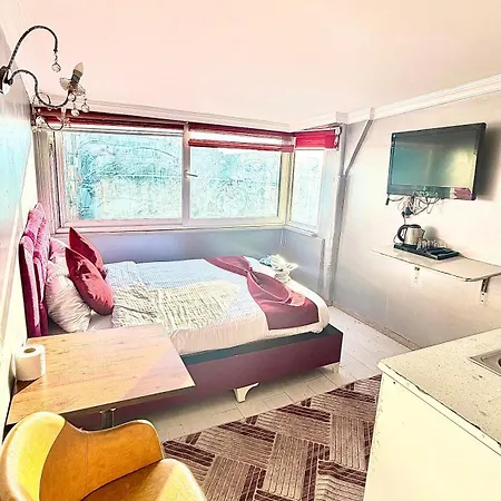 شقة فندقية Taksim Ottoman Boutigue